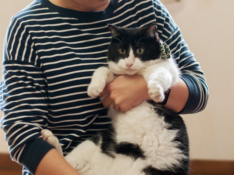 「お母さん、僕もう大人なんだから、人前で抱っこは恥ずかしいよ」（小林写函撮影）