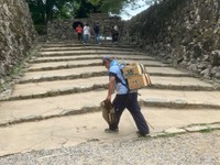 背負子で飲料ケースを運ぶ職員（彦根城運営管理センター提供）