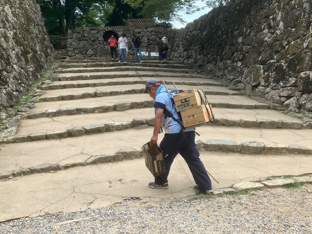 背負子で飲料ケースを運ぶ職員（彦根城運営管理センター提供）