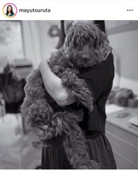 鶴田真由インスタグラム＠mayutsurutaより