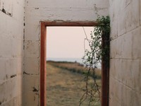 狡猾な生き物に見えた彼らは「言われたことをやっている」だけだった