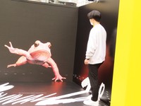 スタッフの動きに反応するオレンジヒキガエル