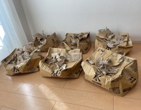 娘さんが遊んでぺちゃんこになった作品群（黒主さん提供）