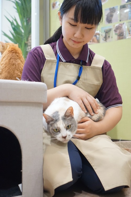 猫ヘルパーの渡部さん。「介護にも興味があるので猫ヘルパーに応募しました。毎日新鮮です」渡部さんは子どもの頃から猫を飼っている