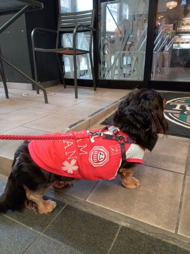 「今日もカフェパトロール！」（西田さん提供）