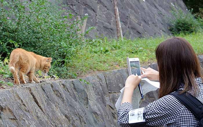 塾生による町ねこ調査の様子（中島さん提供）