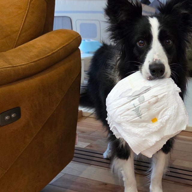 おむつが必要なタイミングで気が利きすぎるリリィちゃん（提供：なつ☺︎🌻🍓‎🤍さん）