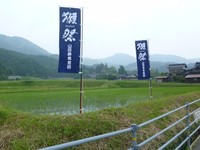 農家はすでに田植えを済ませている