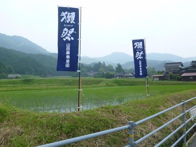 農家はすでに田植えを済ませている