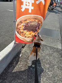 必死にかぶりつく！（提供：みらくさん）