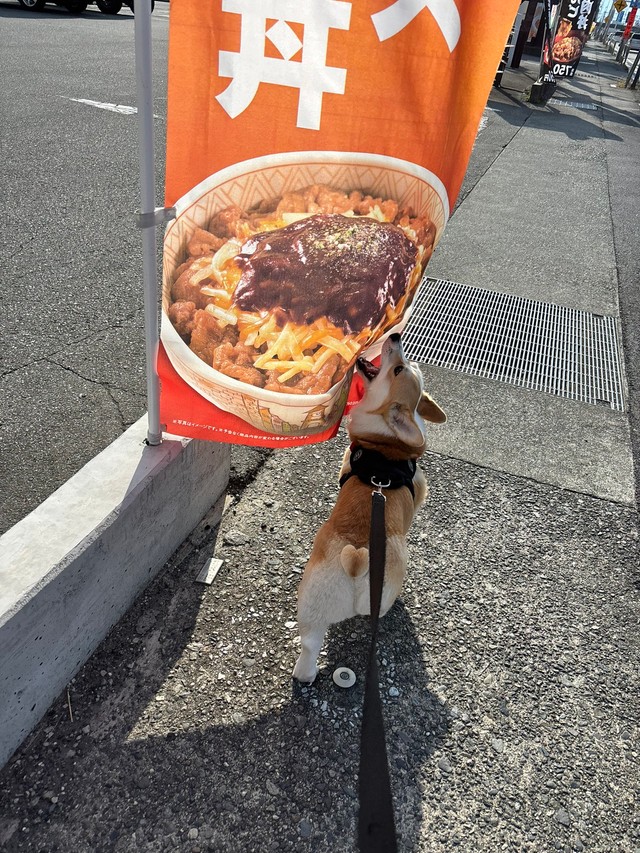 必死にかぶりつく！（提供：みらくさん）