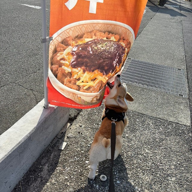 必死にかぶりつく！（提供：みらくさん）