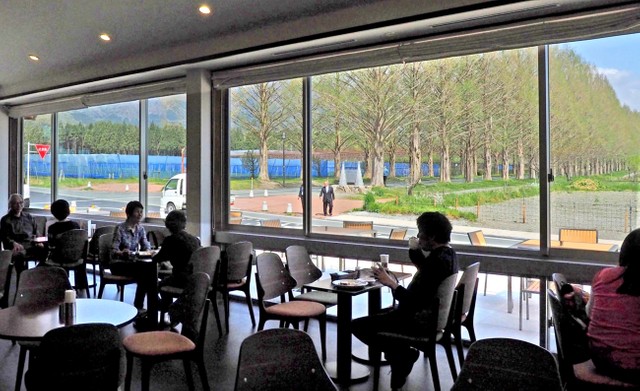 「並木カフェ　メタセコイア」の店内。大きな窓からまっすぐに伸びる並木道が一望できる（高島市マキノ町寺久保・マキノピックランド）