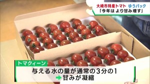 糖度の高い宮城・大崎市鹿島台産のトマトを全国へ　ゆうパック出発式