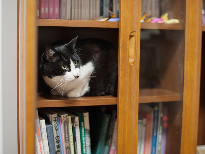 「だいじょうぶだって、ここでおしっこしたりしないから」（小林写函撮影）