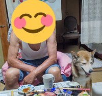 いつもそばにいます（柴犬オルカのママさん提供）
