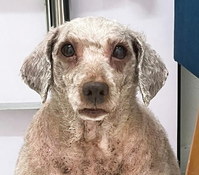 むっちゃんはついに幸せを掴みました