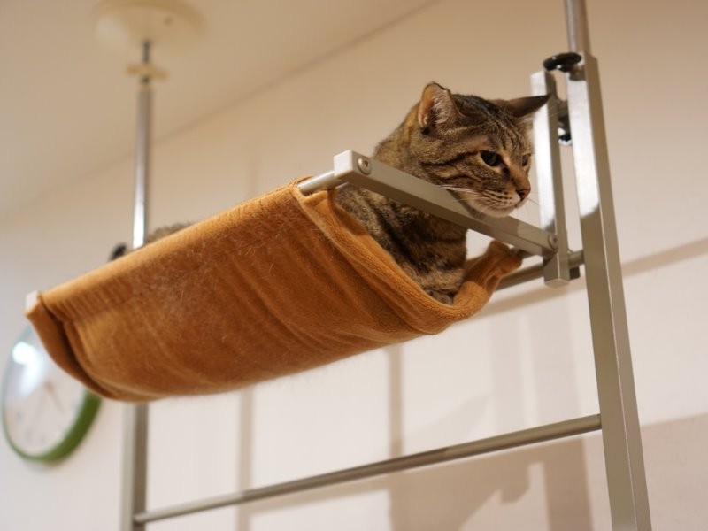 みんな気持ちよさそうです