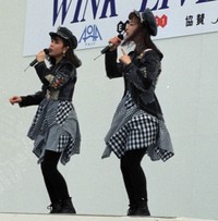 Ｗｉｎｋ＝1994年