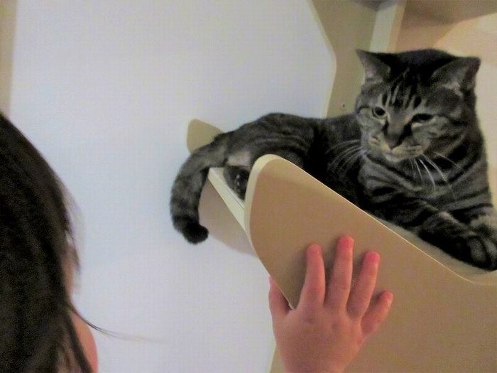 赤ちゃんをやさしく見つめるモモ