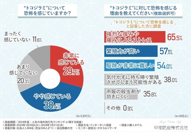約7割が今話題の“トコジラミ”に恐怖を感じている（提供画像）