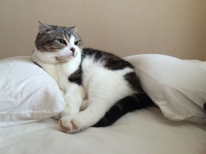 一緒に寝られるのは冬の楽しみ