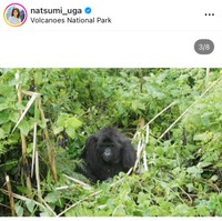 宇賀なつみアナのインスタグラム＠natsumi_ugaより