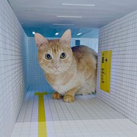 「8番出口」模型の中でたたずむティーグルくん（画像提供：ティグノアさん）