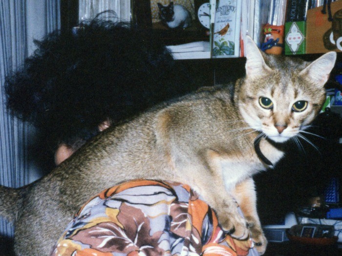 なんとも昭和な写真ですね。母にべったり、甘えん坊だったアーサー