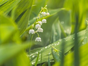 あの不良に絡まれても、今は全力疾走で逃げられる。無理やりタバコを吸ったりはしない