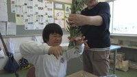 小豆島の小学生がオリーブの冠作り　マラソン大会の入賞者に贈呈　香川