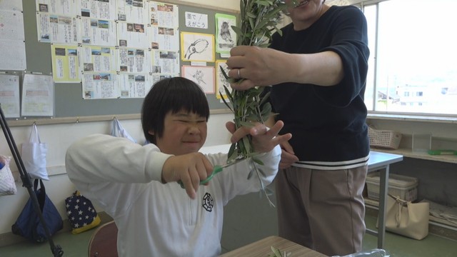 小豆島の小学生がオリーブの冠作り　マラソン大会の入賞者に贈呈　香川