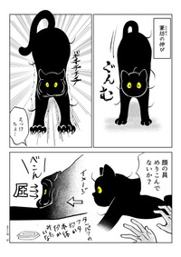 【漫画】『うちの猫は様子がおかしい。まとめ③』27（筆坊日記さん提供）