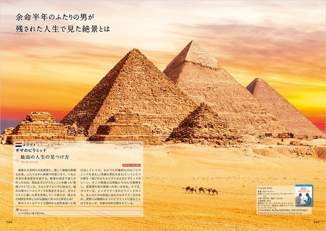 「最高の人生の見つけ方」よりエジプトのカイロを紹介