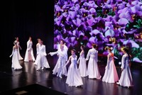 魅力はなんと言っても華やかさ