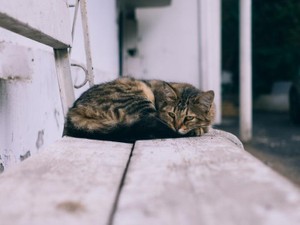 「取扱困難」の私と、優しくお母さんのような彼女は、お互い離れられない存在だった