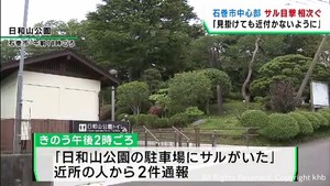 中心部で再びサルの目撃が相次ぐ　市民に注意を呼び掛け　宮城・石巻市