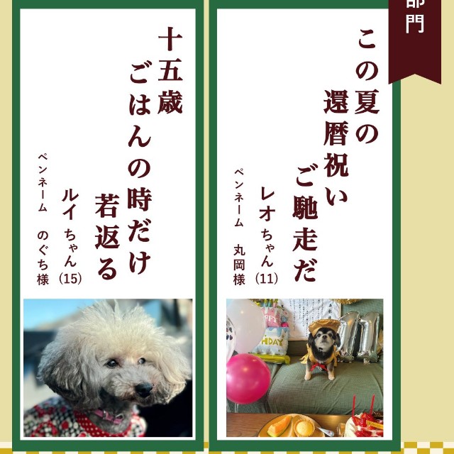 ごはん部門入選作