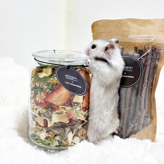 お気に入りのおやつに大興奮するまろちゃん（画像提供：まろとsaeさん）