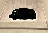 綺麗にマットと一体化するかげちゃん（提供：こてつくんとかげつちゃんさん）