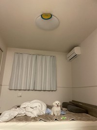 「とってくださいワン」とこちらに向かってお願いしているみたい（画像提供：モコさん）