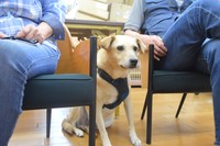 インタビュー中の様子。「ボクのことはなしてる？」