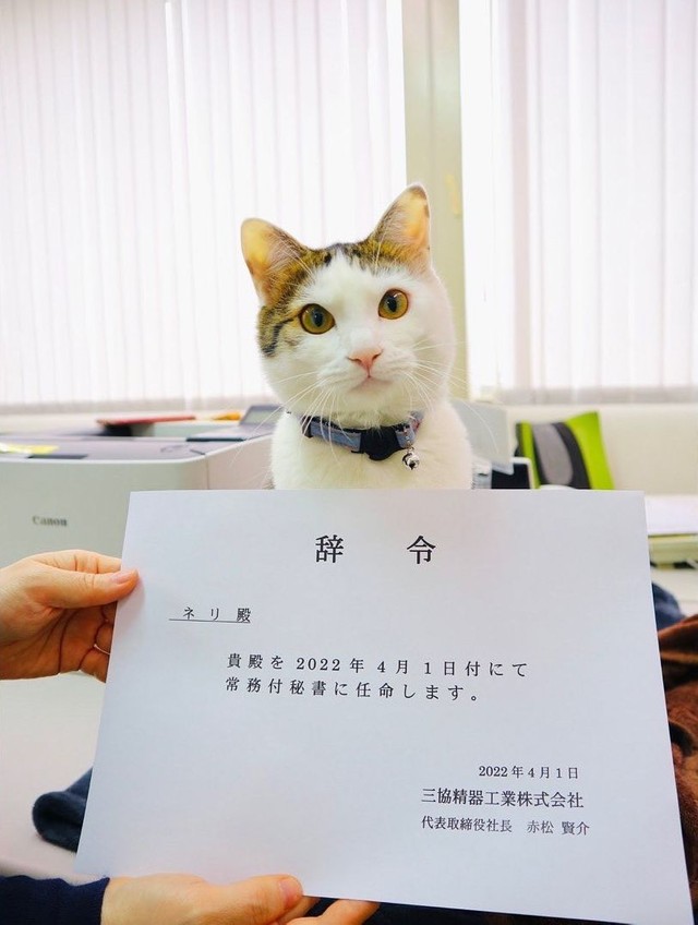 ネリ秘書辞令交付