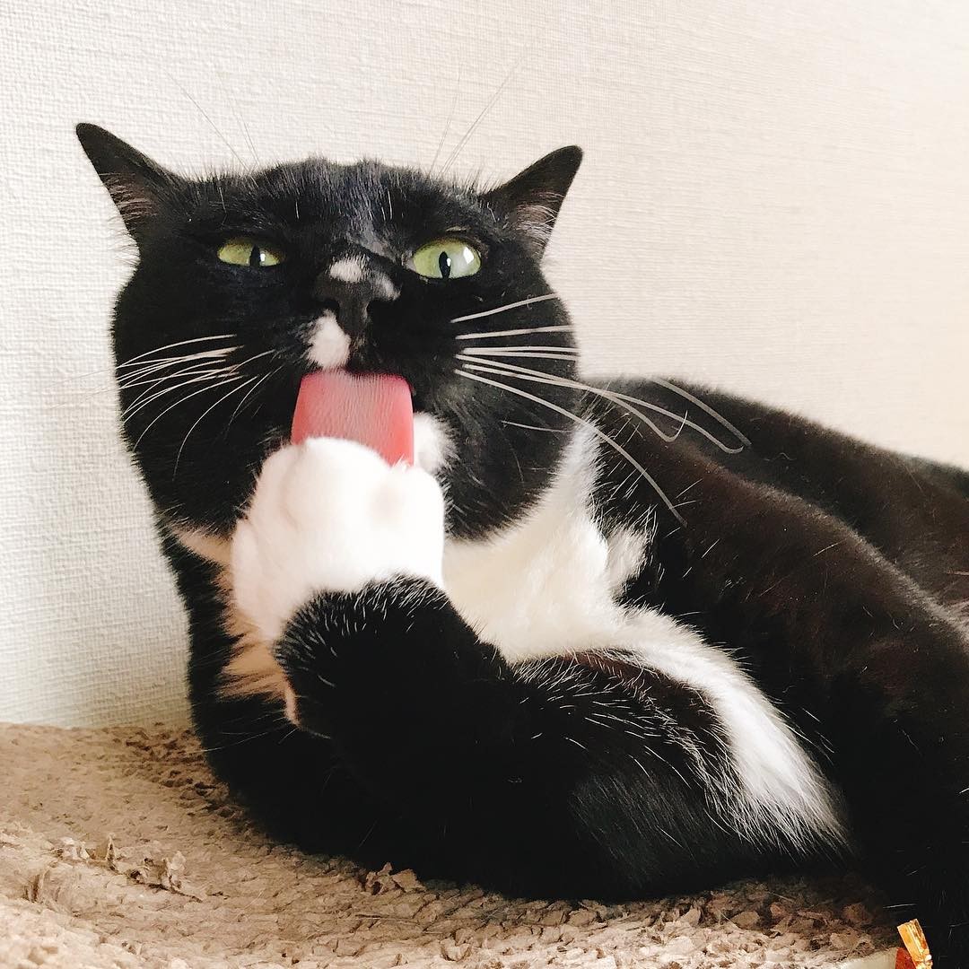 d3984c04f2bccdc79eea8fd0b1cfd7