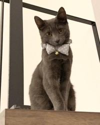 水玉模様のタイがお似合い