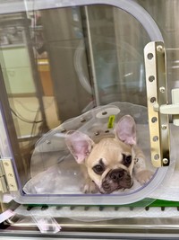 無事に終わりました！