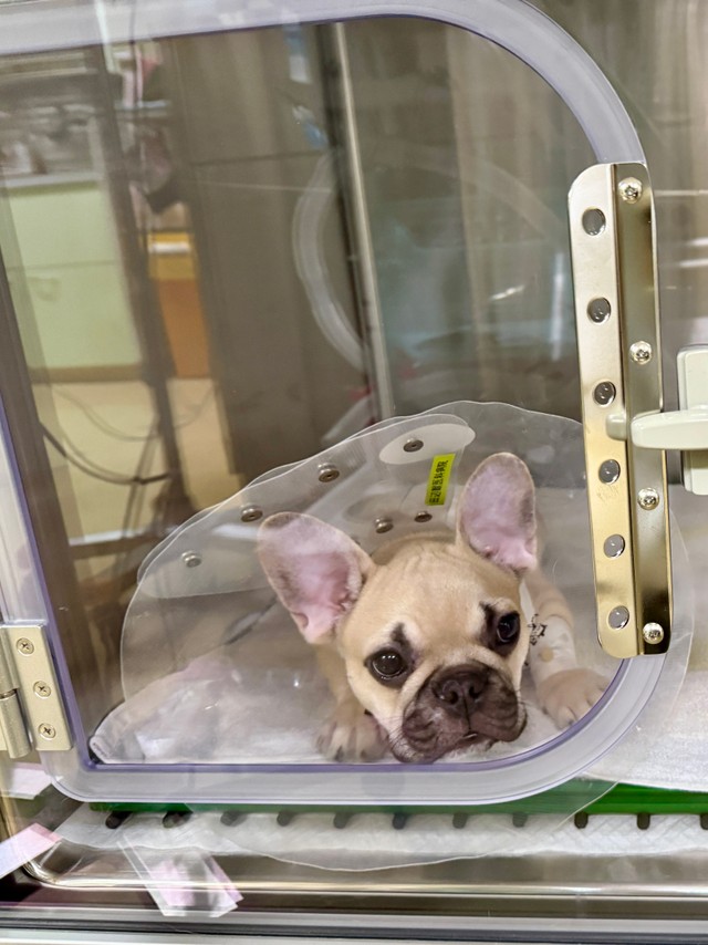 無事に終わりました！