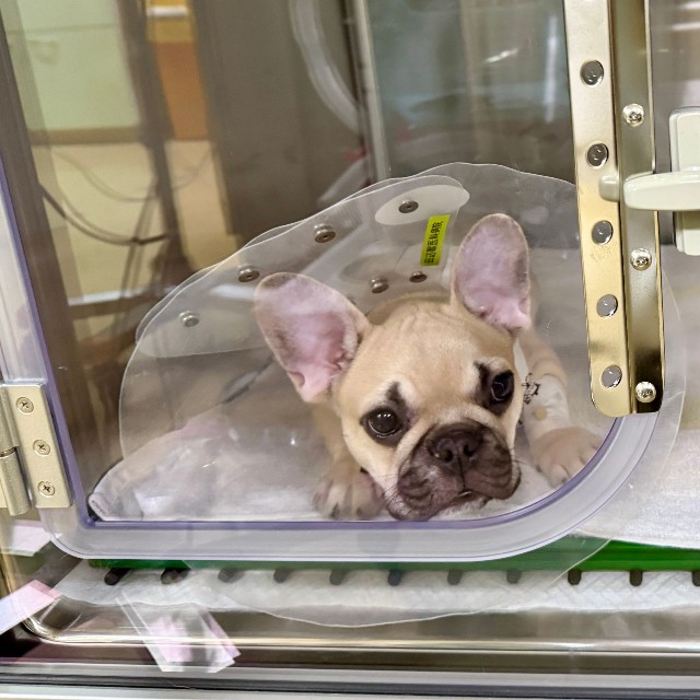 無事に終わりました！