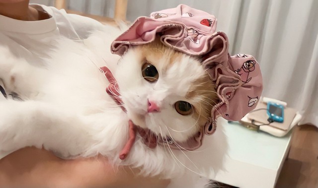 バブちゃんになりました