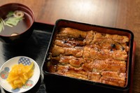 おいしそうなうな重（うなぎスタイル提供）